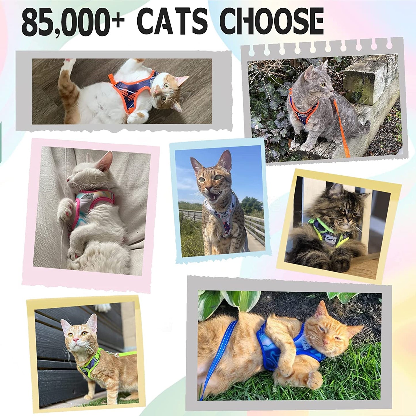 Cat Harness and Leash Escape Proof, Adjustable Breathable Cat Vest Harness with Reflective Trim, Cat Leash Set for Large Small Cats Kittens Puppies