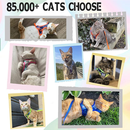 Cat Harness and Leash Escape Proof, Adjustable Breathable Cat Vest Harness with Reflective Trim, Cat Leash Set for Large Small Cats Kittens Puppies