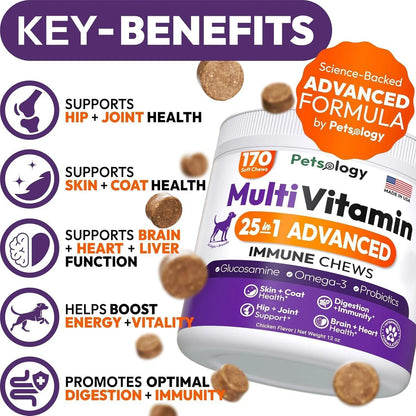 (2 Pack) Multivitamin Chews for Dogs