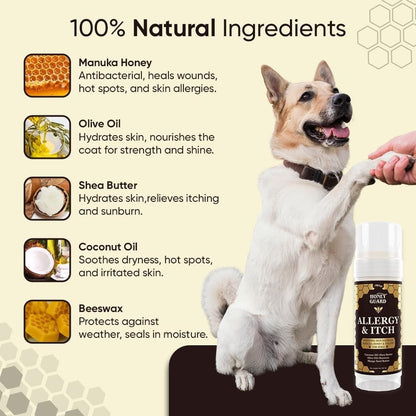 Iheartdogs Honey Guard Allergy and Itch Relief Dog Healing Balm for Paw, Nose