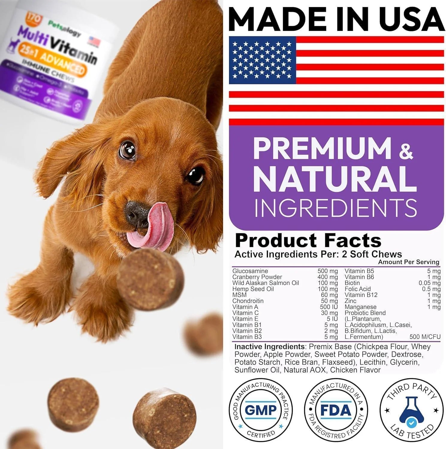 (2 Pack) Multivitamin Chews for Dogs
