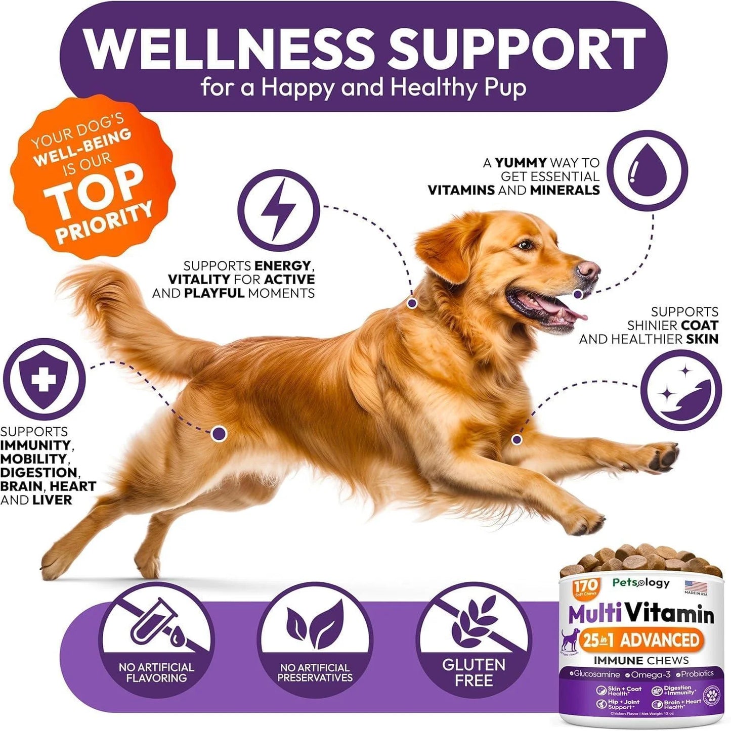 (2 Pack) Multivitamin Chews for Dogs