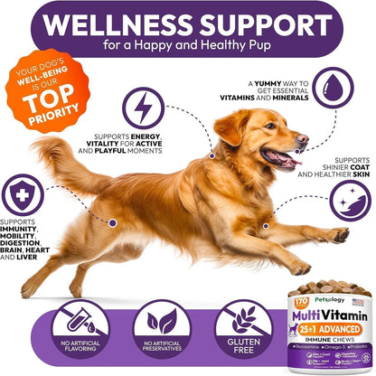 (2 Pack) Multivitamin Chews for Dogs